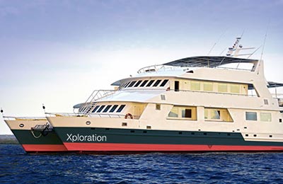 Celebrity Xploration image