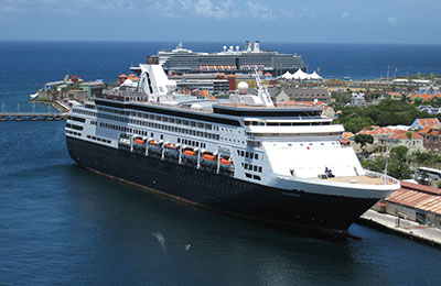 Maasdam image