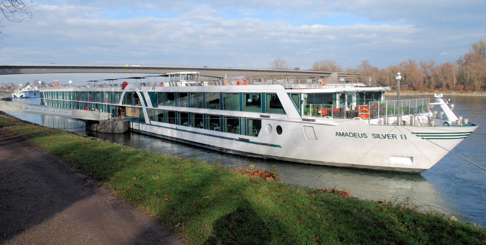 Amedeus Silver II image