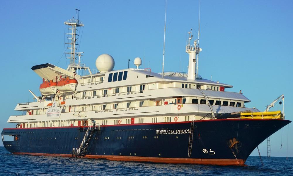 Silver Galapagos image