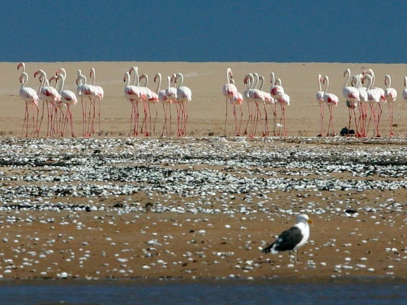 Walvis Bay  Limanı