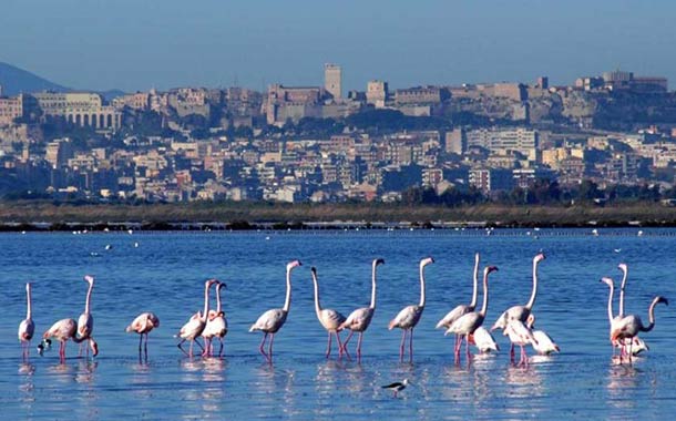Cagliari  Limanı