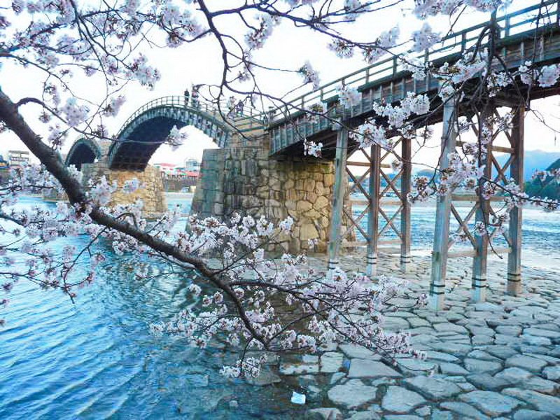 Fukuoka  Limanı